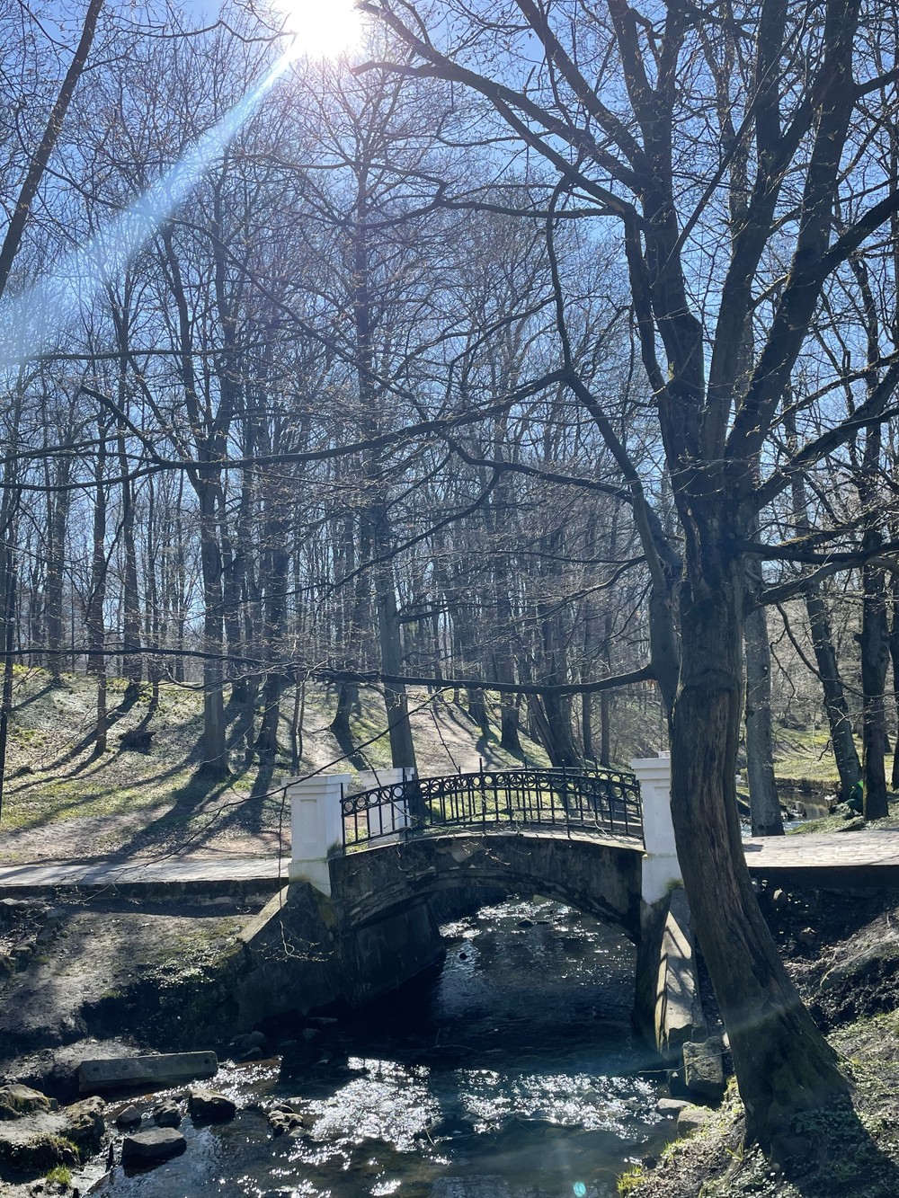 Победа... Какая она в городе «К» — Калининграде — фото 11