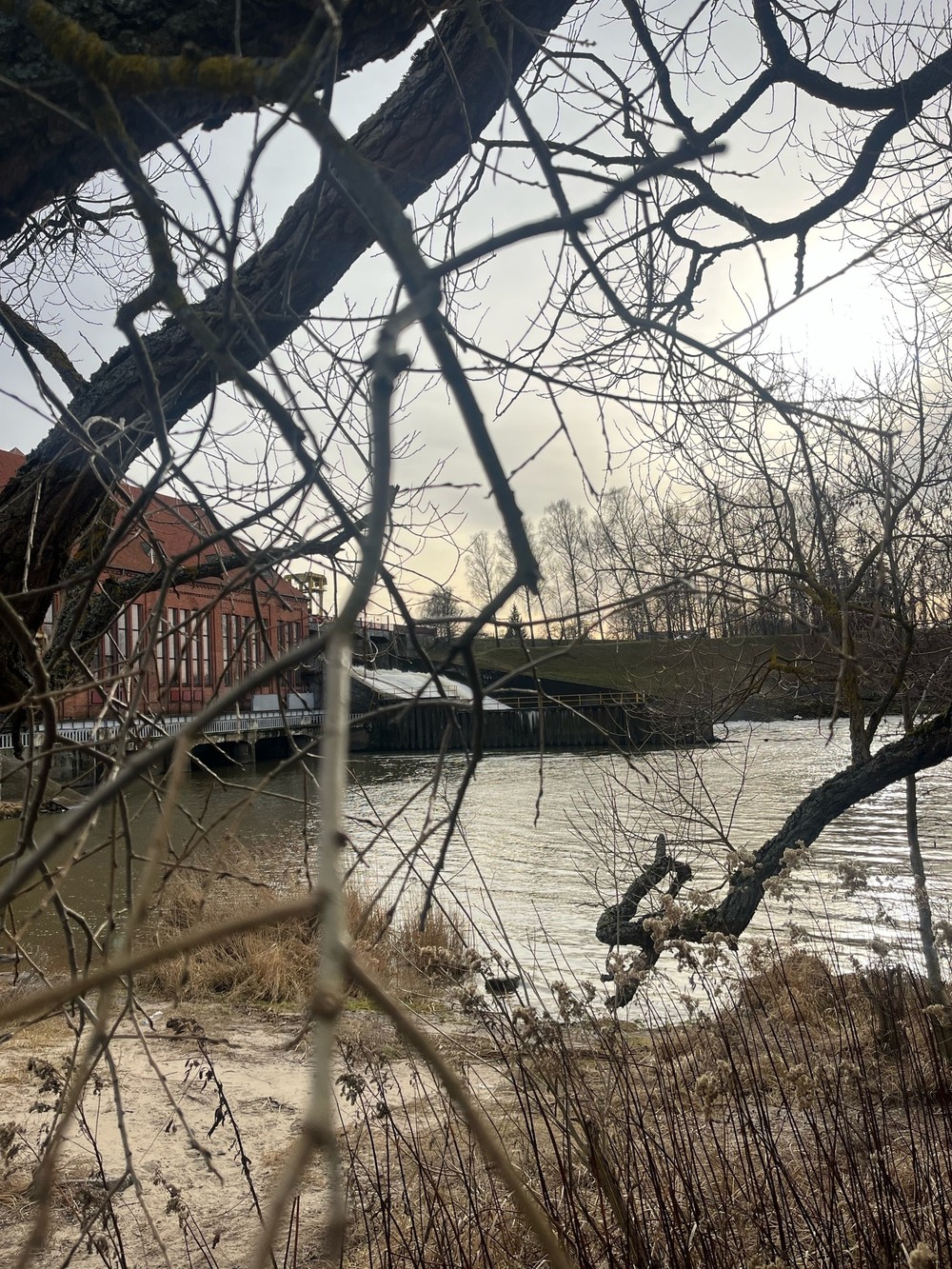 Правдинск, Железнодорожный и посёлок Дружба за 1 день — фото 6