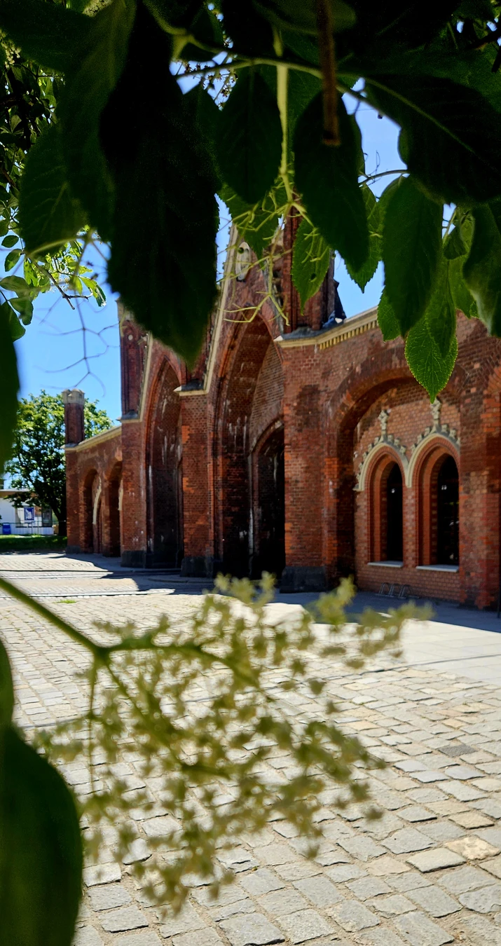 Семь ворот Кёнигсберга + прогулка по Амалиенау в подарок — фото 2