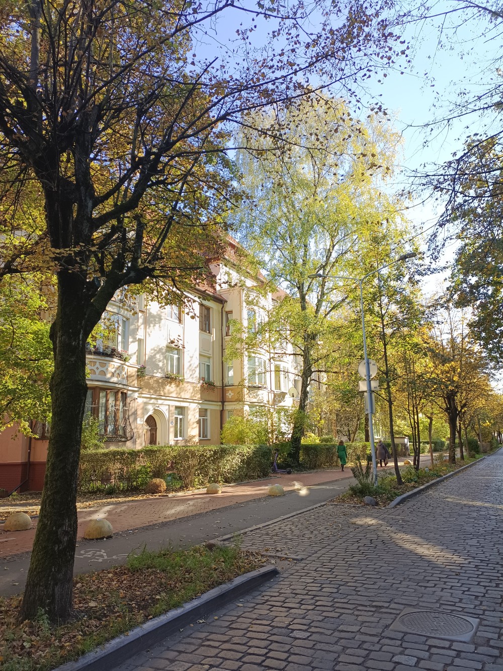 Из центра Калининграда в Амалиенау: обзорная экскурсия на 2 часа — фото 2