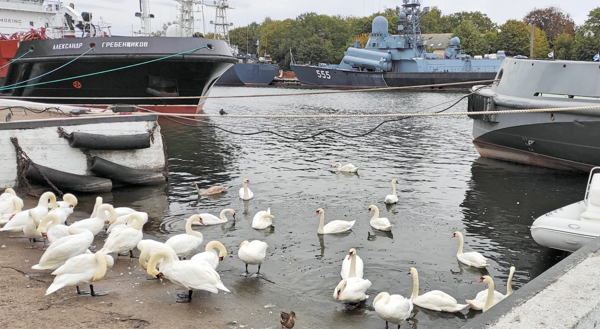 Трансфер из аэропорта Калининграда с экскурсией по Балтийскому побережью — фото 5