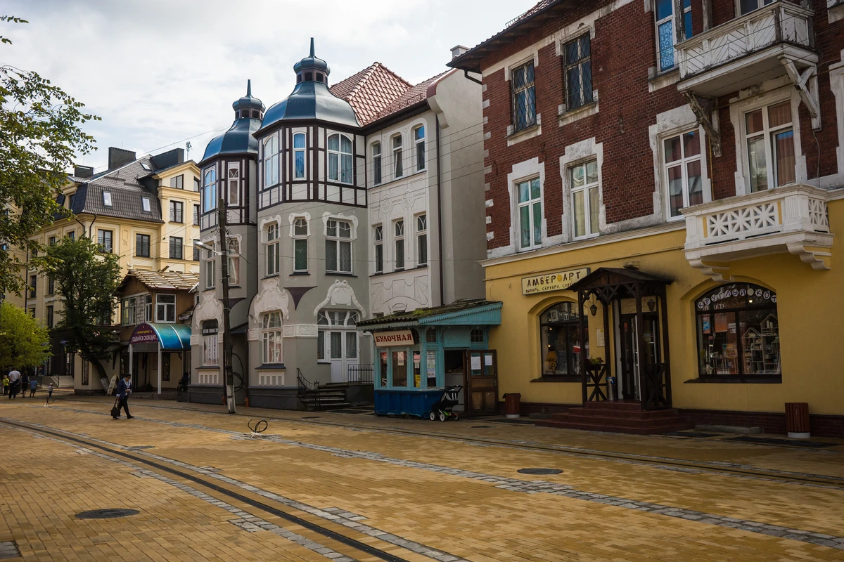 Куршская коса и 3 курорта Балтики за 1 день — из Калининграда — фото 3