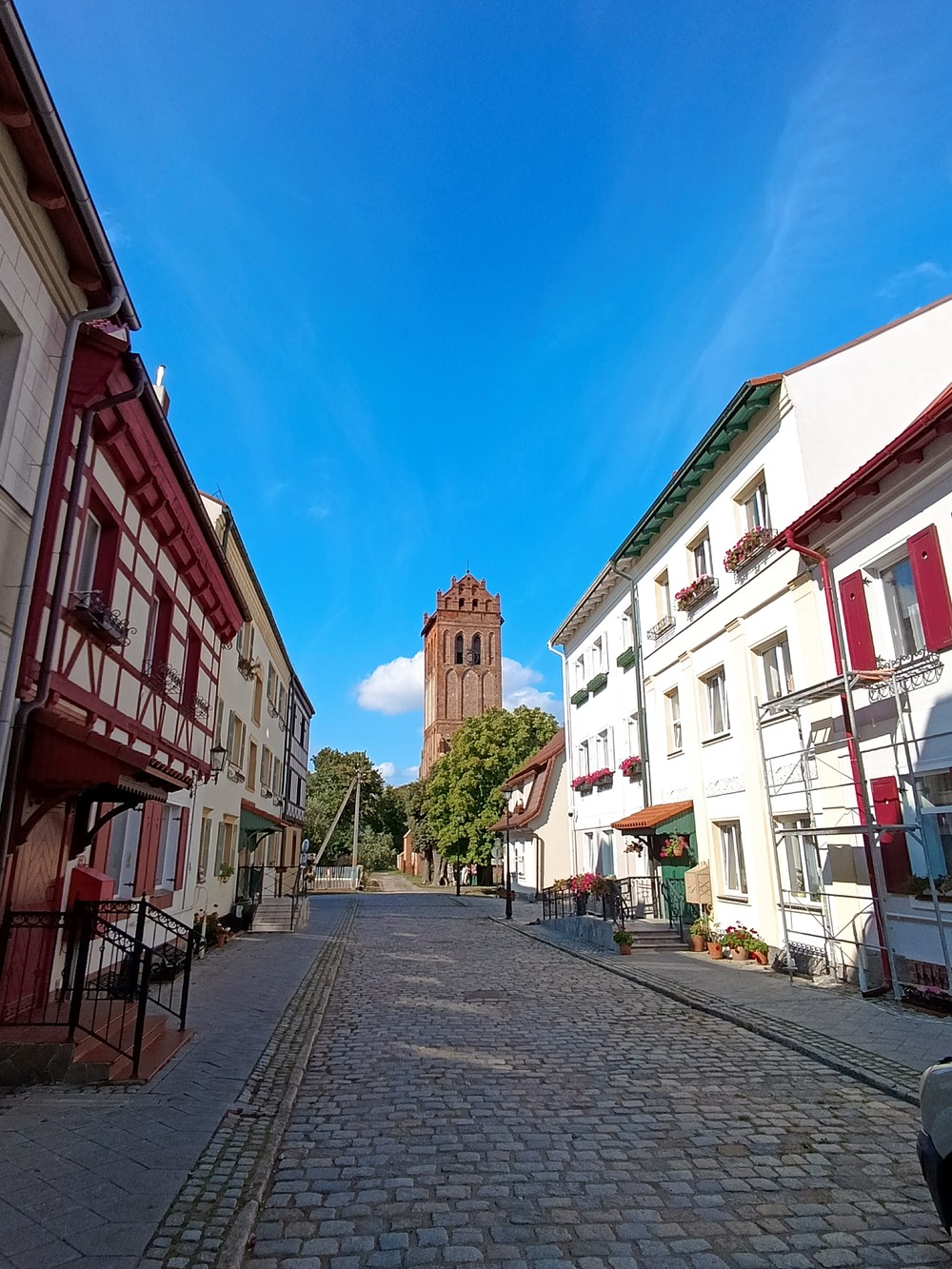 В поисках приключений: на медовых лугах Бартии — фото 3