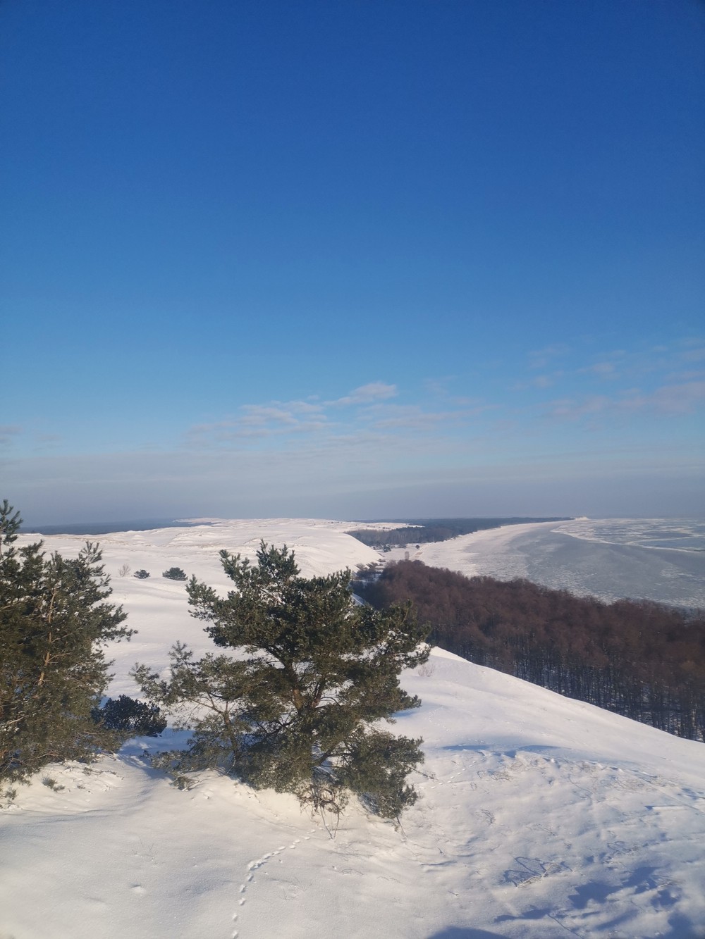 Великолепная Куршская коса и очаровательный Зеленоградск — фото 12