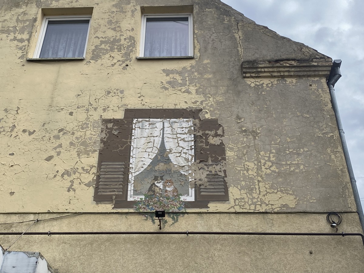 В атмосферный Черняховск — из Калининграда — фото 8