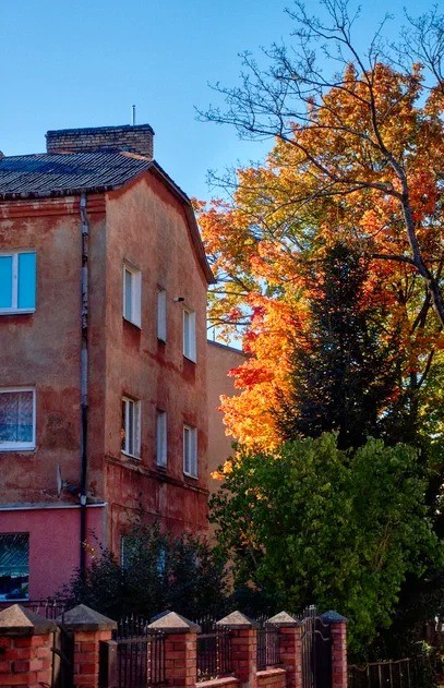 Пиво, тайны и дорога в дюны. Кёнигсбергский уикенд — фото 7