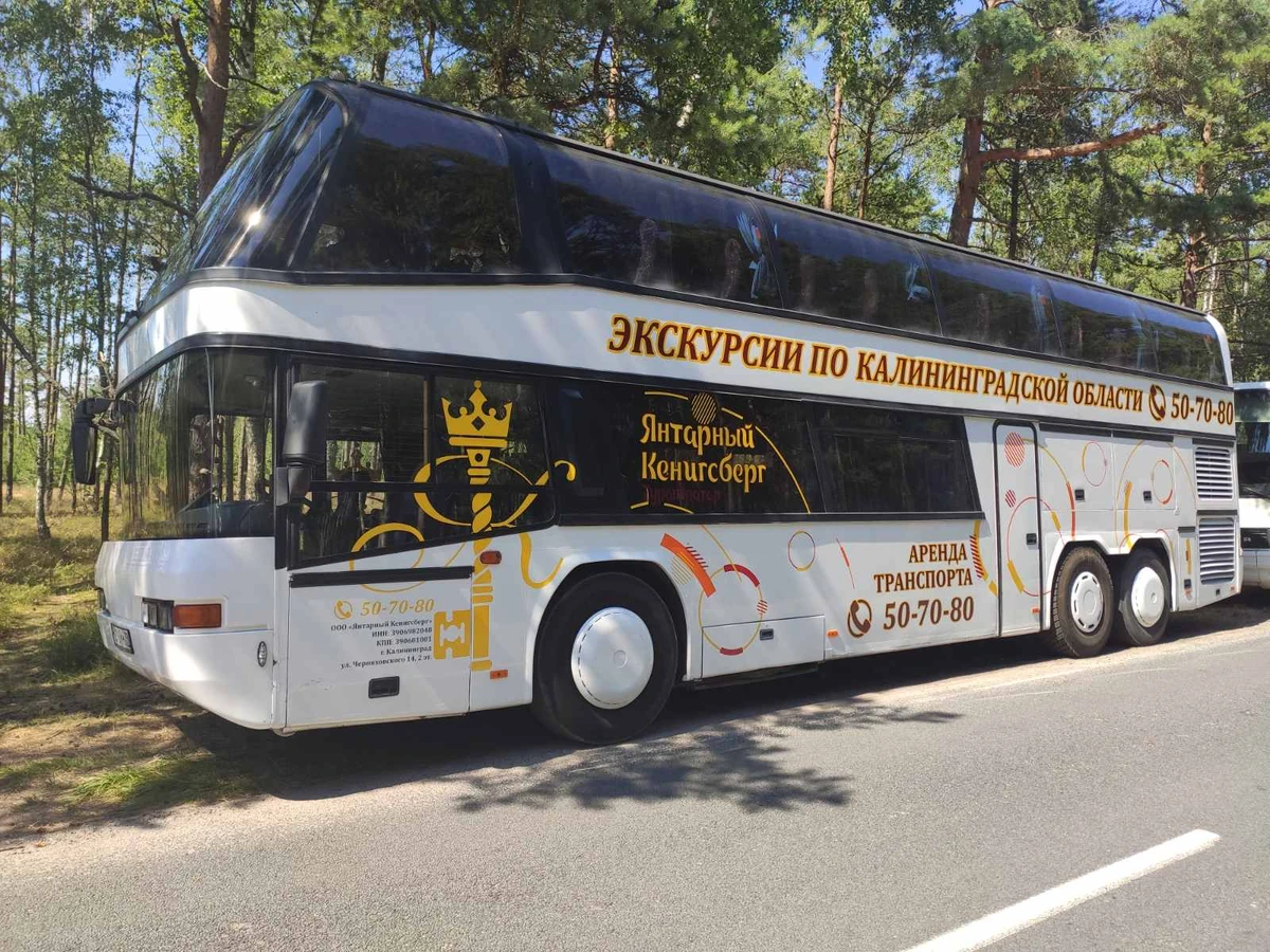 На двухэтажном автобусе — по Калининграду (с дегустацией марципана) — фото 3