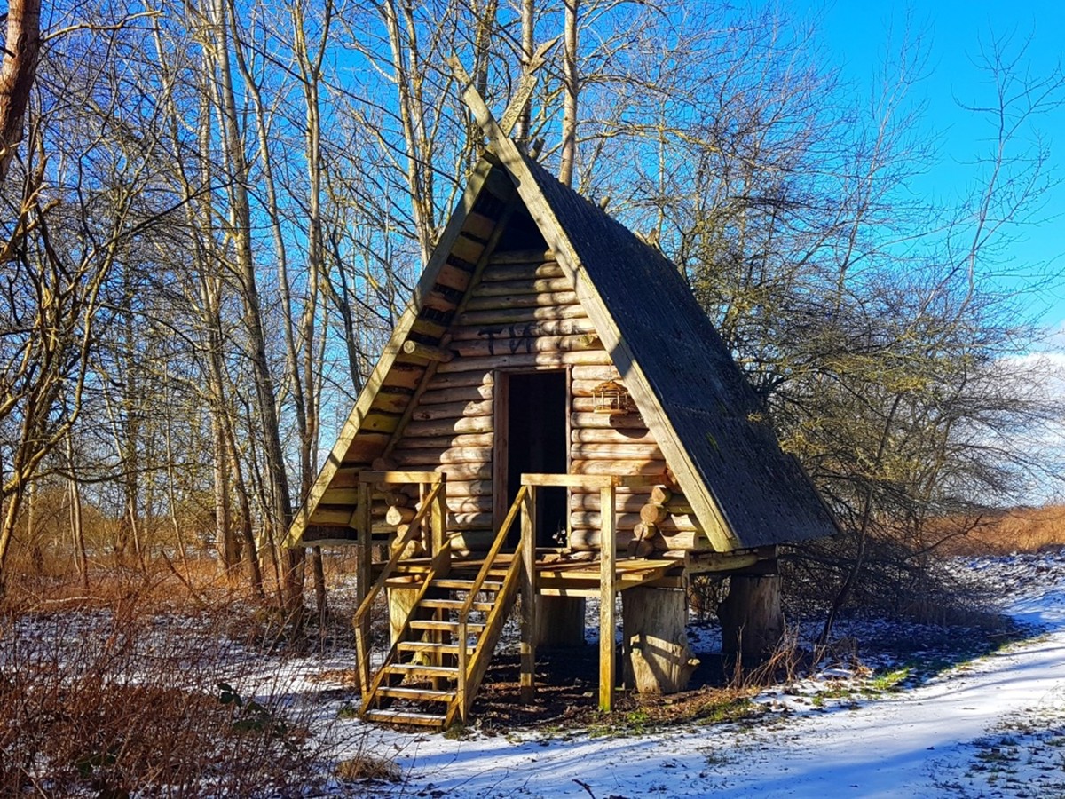 История и природа Куршской косы с гидом-писателем (из Зеленоградска) — фото 8