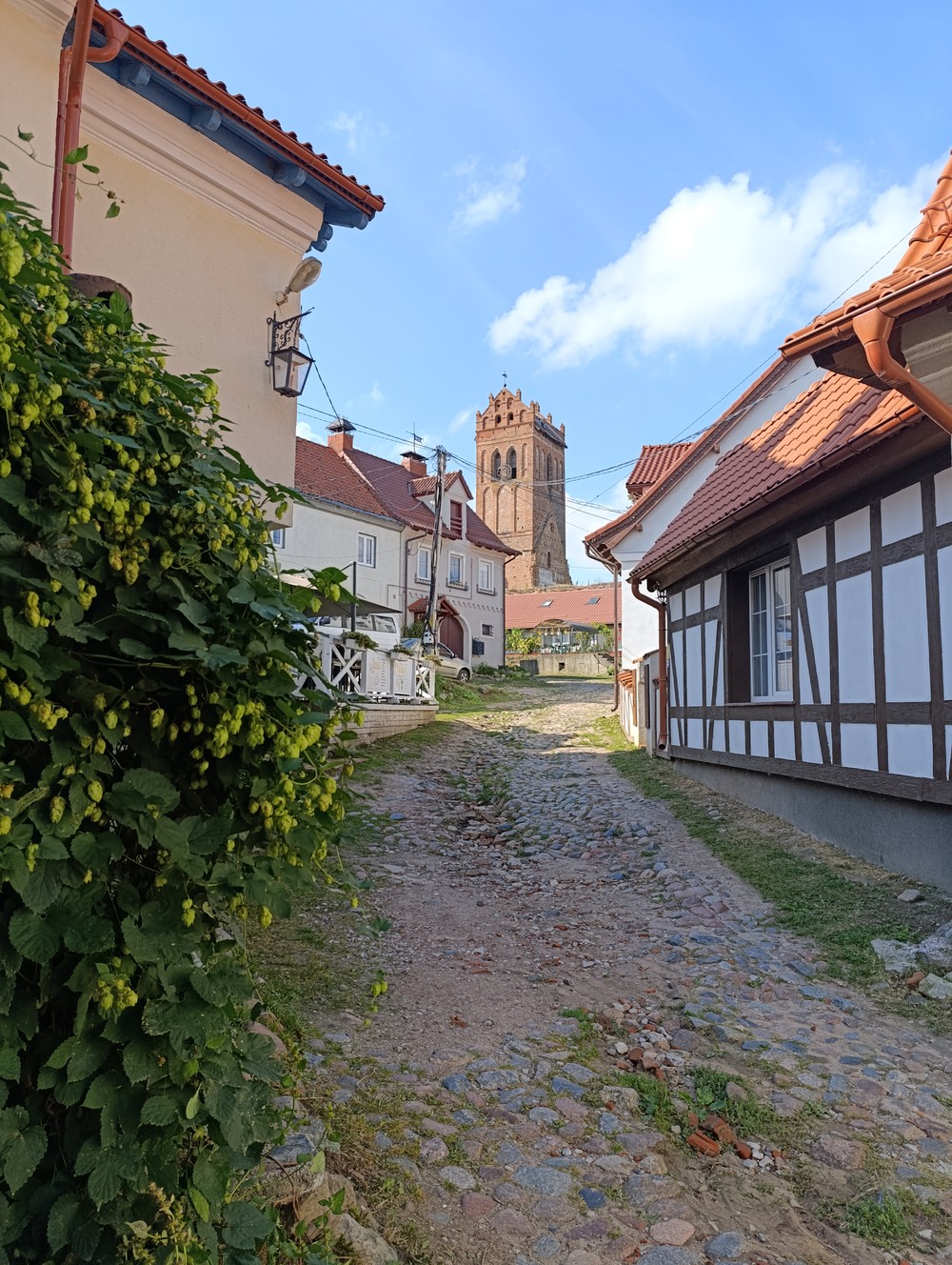 В поисках приключений: на медовых лугах Бартии — фото 9