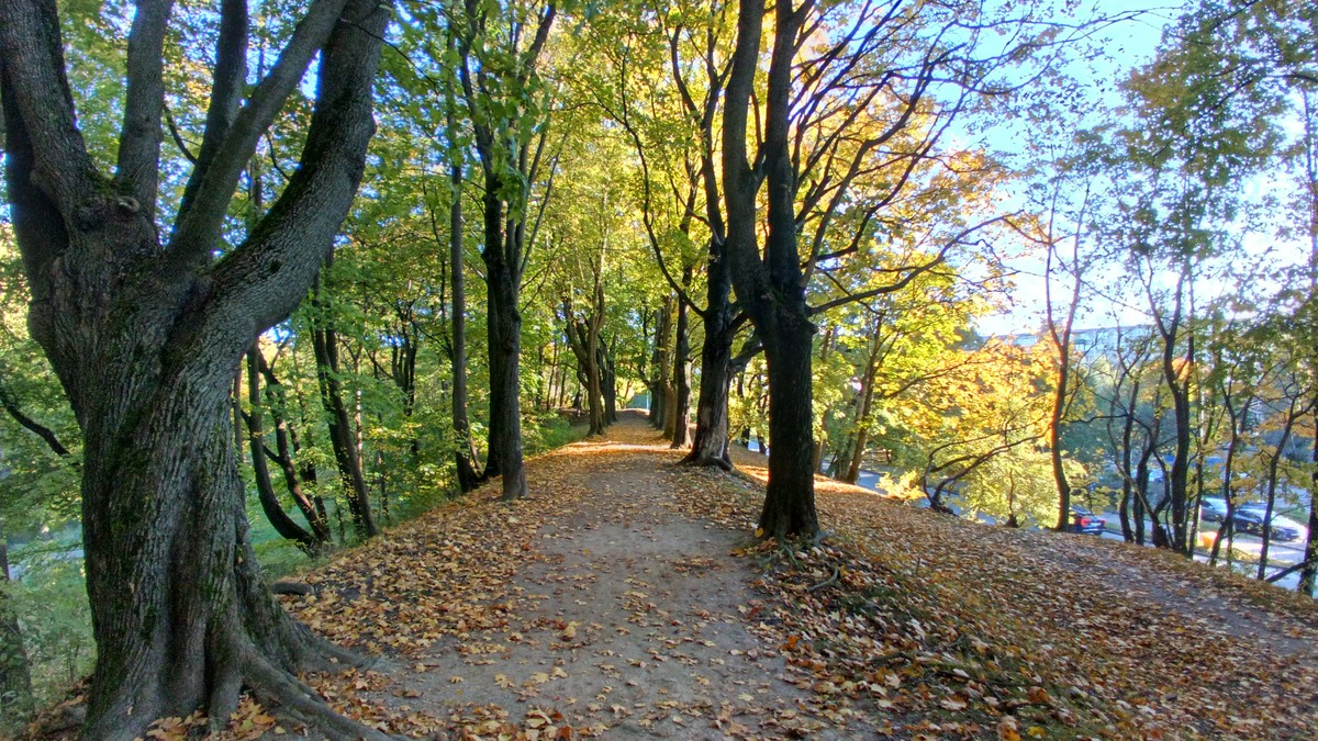 Калининград от трапа самолёта — фото 3