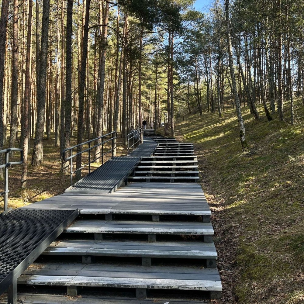 Куршская коса, Зеленоградск и «Шаакен Дорф» — фото 5
