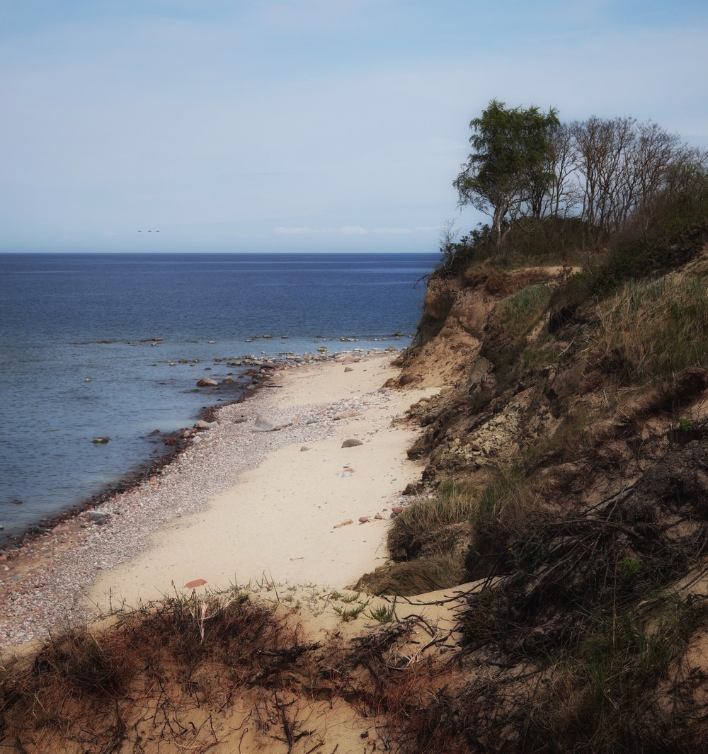 Путешествие по пляжам Балтийского моря для интровертов — фото 4