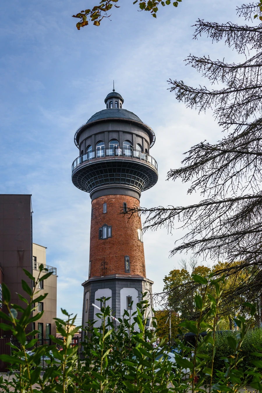 Из Калининграда — на сыроварню, Куршскую косу и в Зеленоградск — фото 5