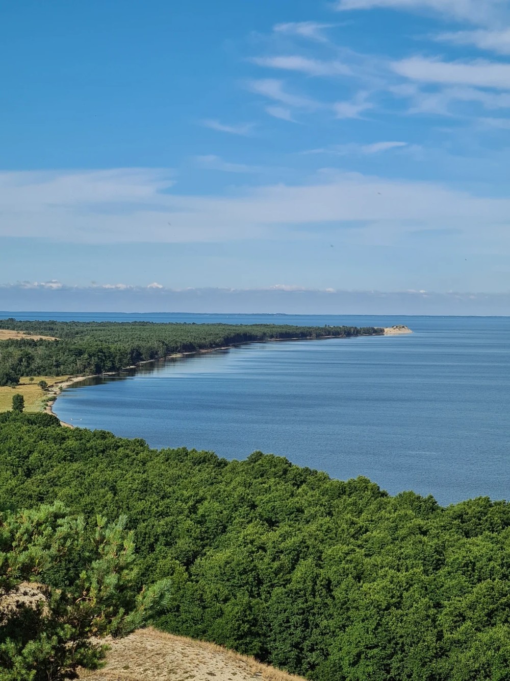Куршская коса: нетривиальный маршрут (из Калининграда) — фото 4