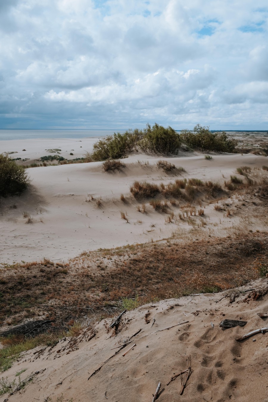 Экскурсия на Куршскую косу, в Зеленоградск и сыроварню «Шаакен Дорф» — фото 5