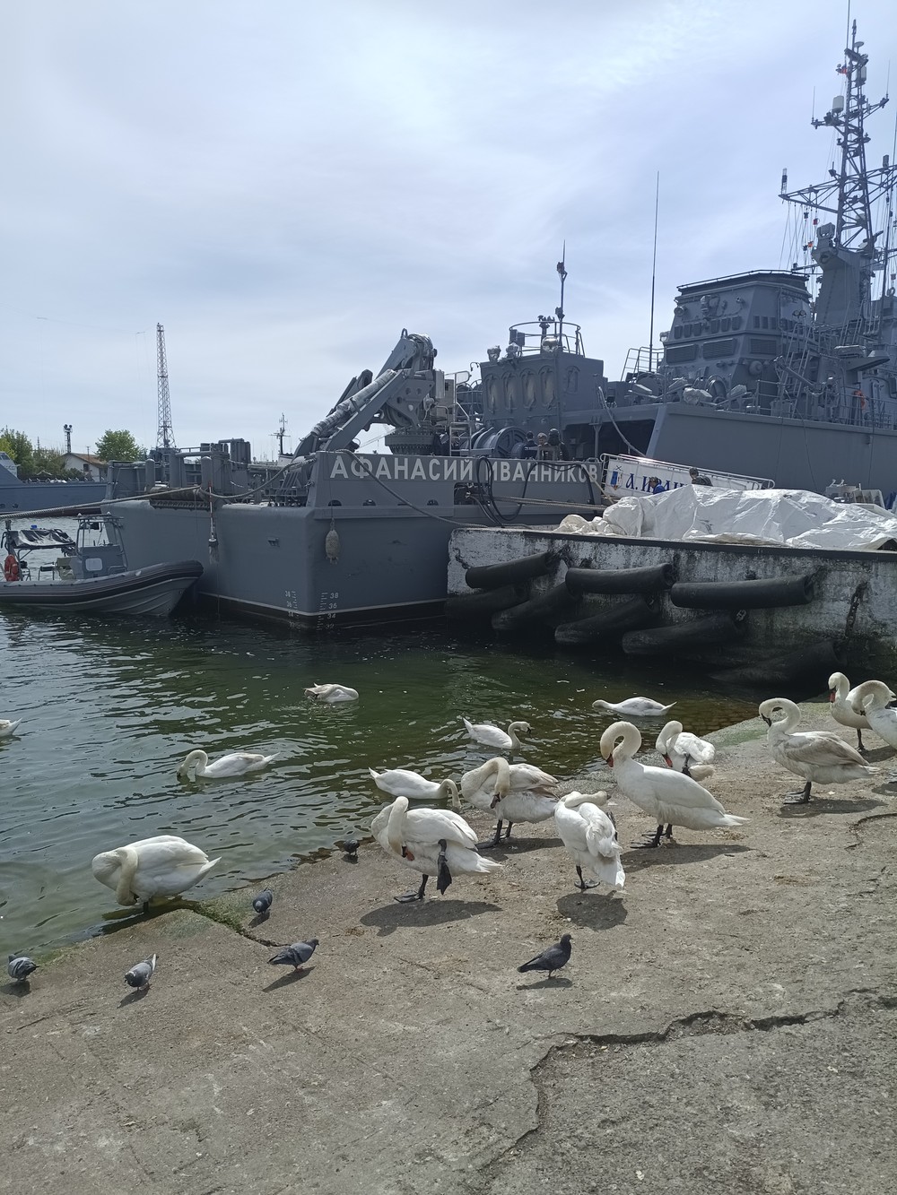Балтийское побережье — в поисках сокровищ — фото 5