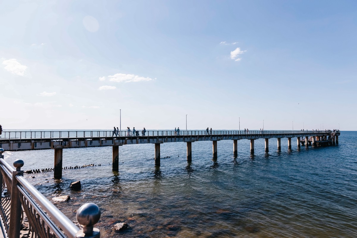 Море, котики, курорты: главное в Калининградской области — фото 5