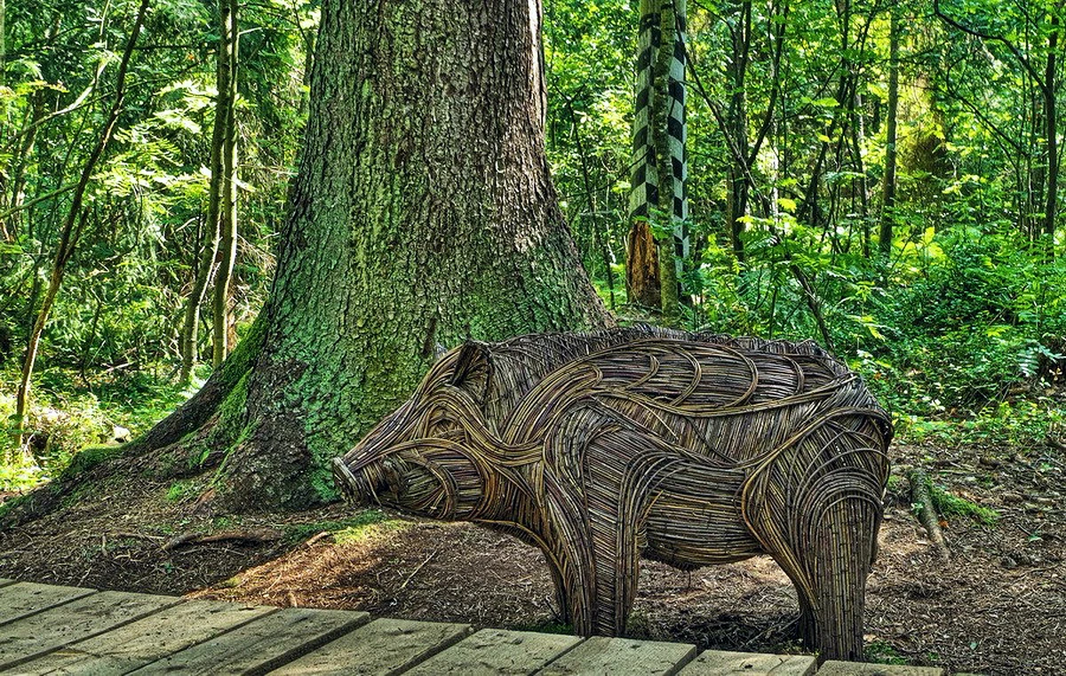 Куршская коса, Зеленоградск и Пионерский: нестандартная экскурсия — фото 8