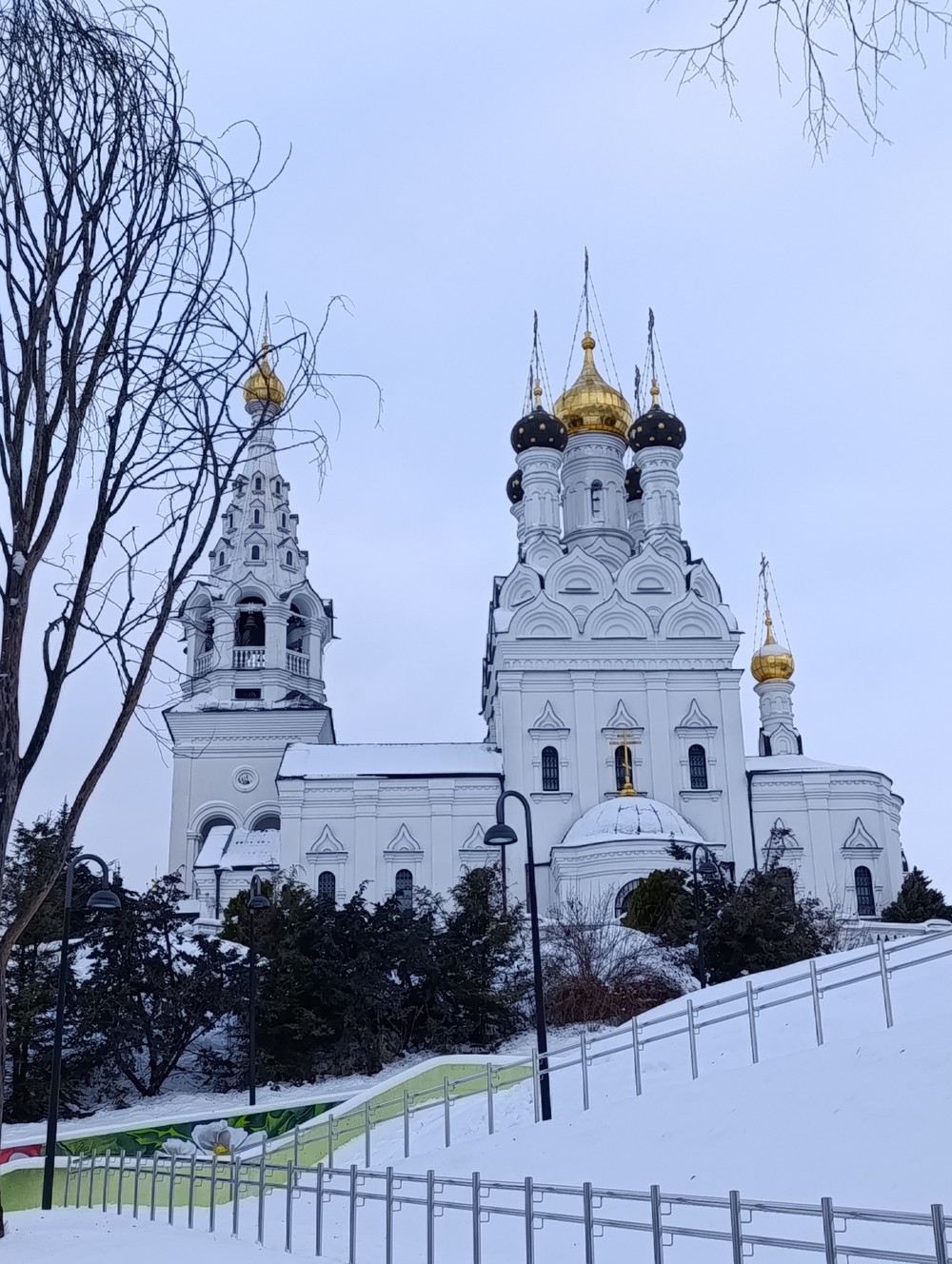 Прусские воительницы и великие полководцы 19 века — фото 4
