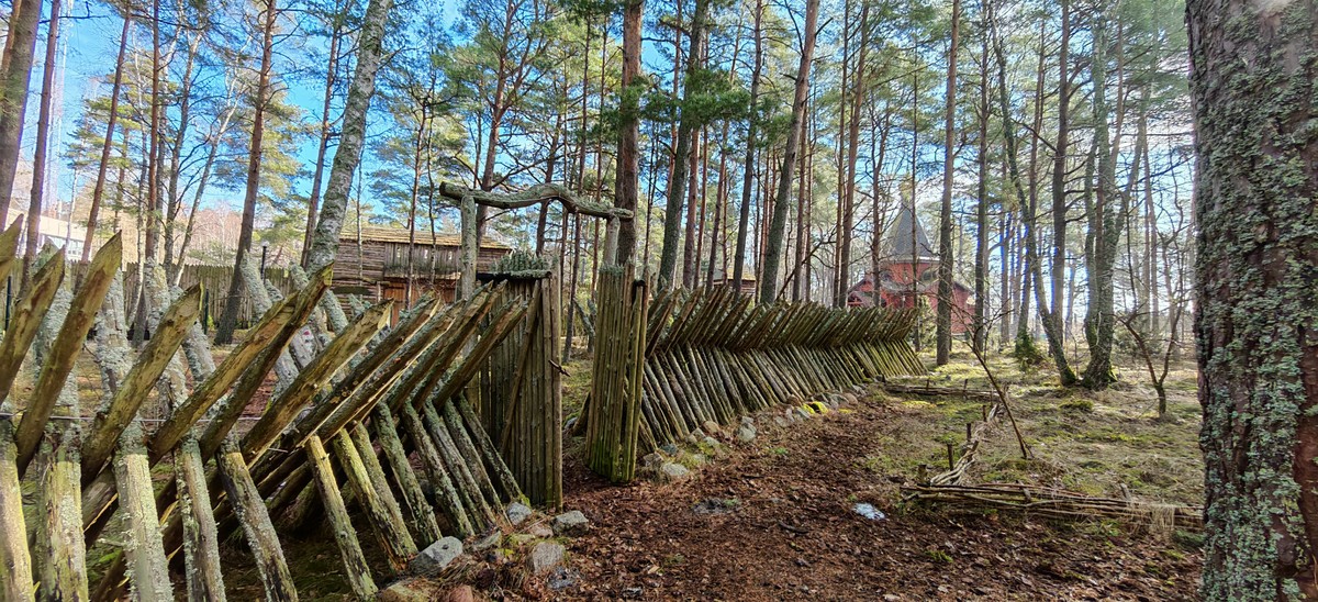 Самое-самое на Куршской косе — фото 11