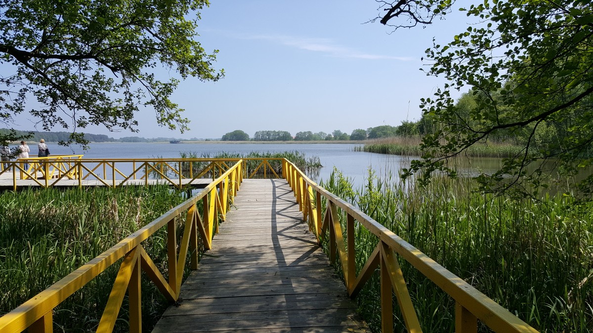 Куршская коса — царство моря, дюн и птичьих голосов — фото 4