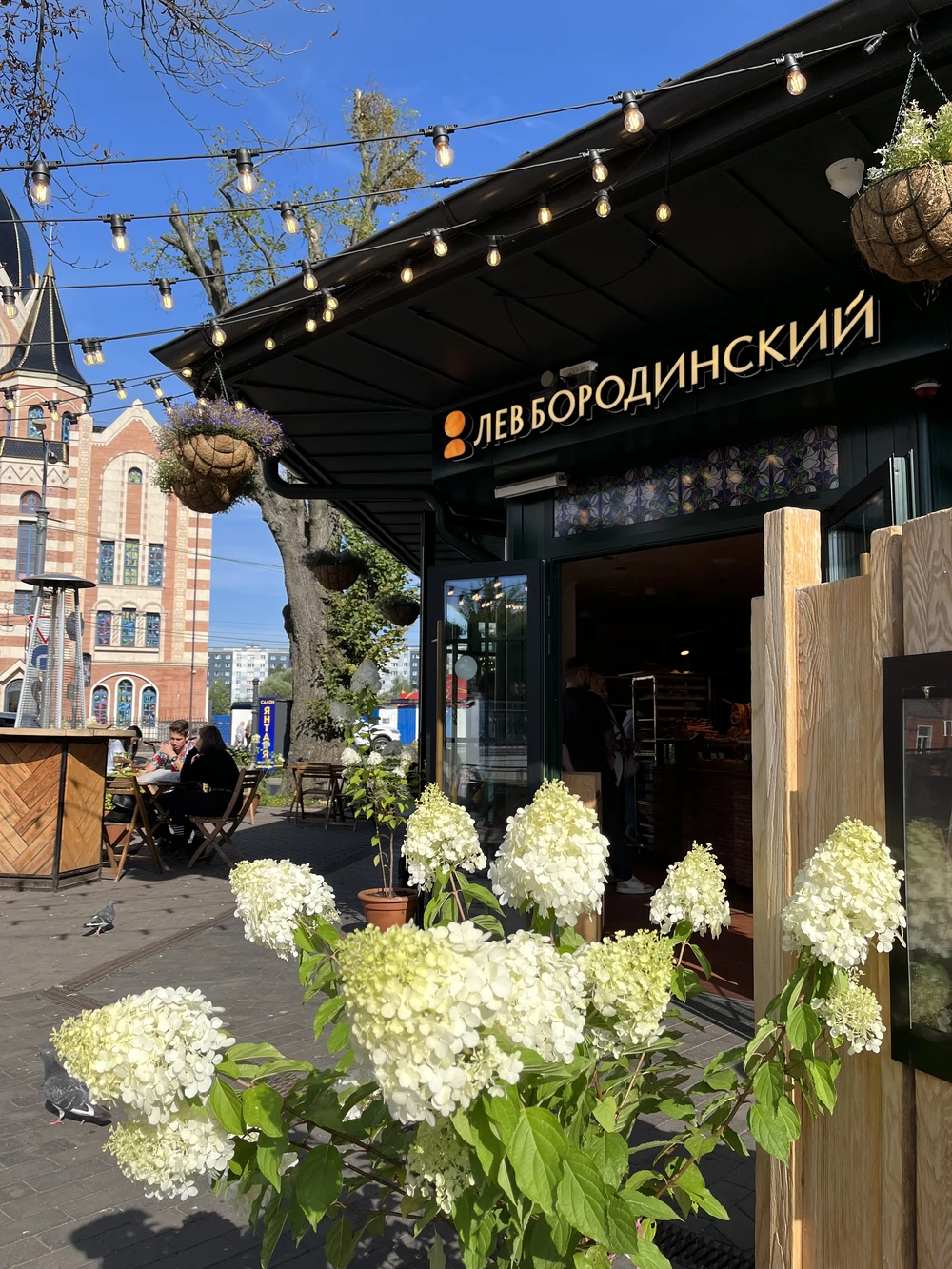 От «Кровавого суда» до современных клопсов: гастрономическая экскурсия по Калининграду — фото 10