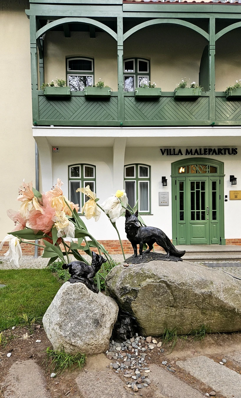 Лучшие места на Земле: Янтарный и Светлогорск — фото 3