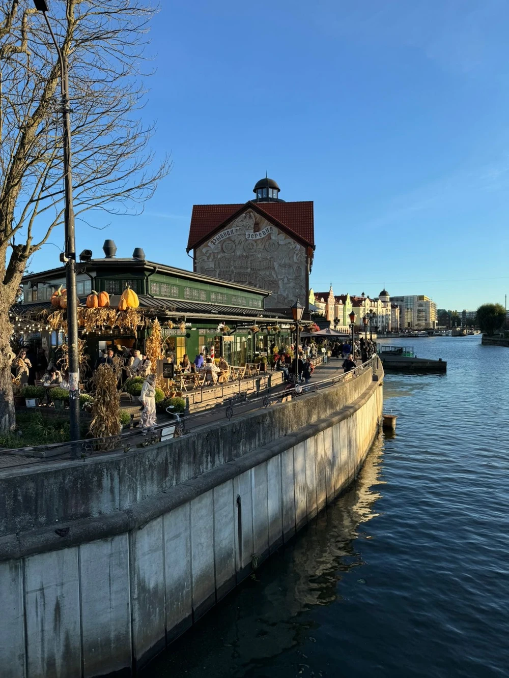 Калининград — город между морями и легендами — фото 10