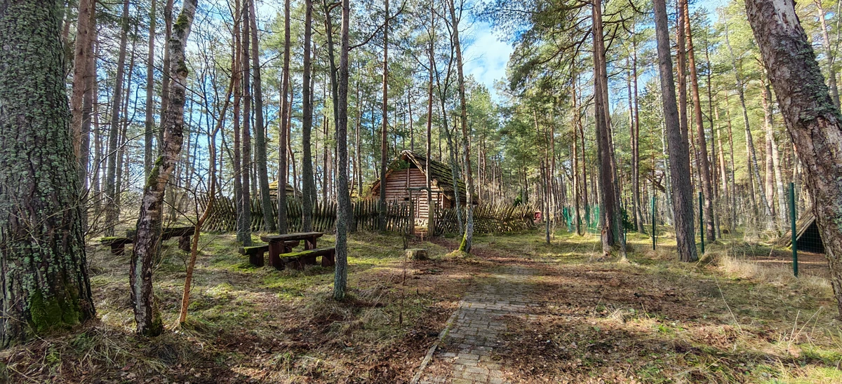 Самое-самое на Куршской косе — фото 8