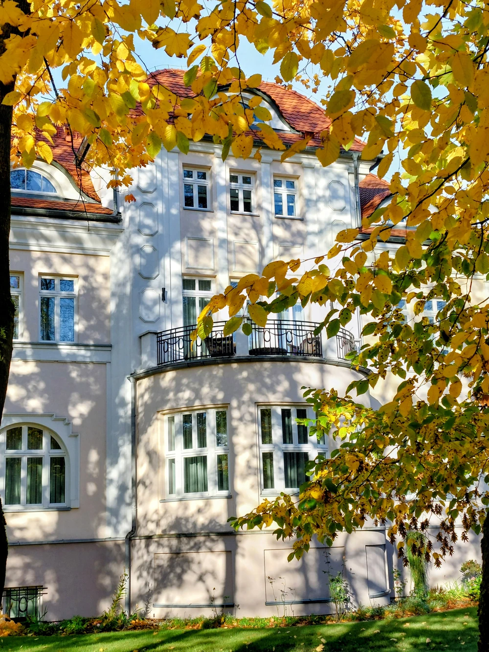 Амалиенау: с любовью к Кёнигсбергу — фото 11
