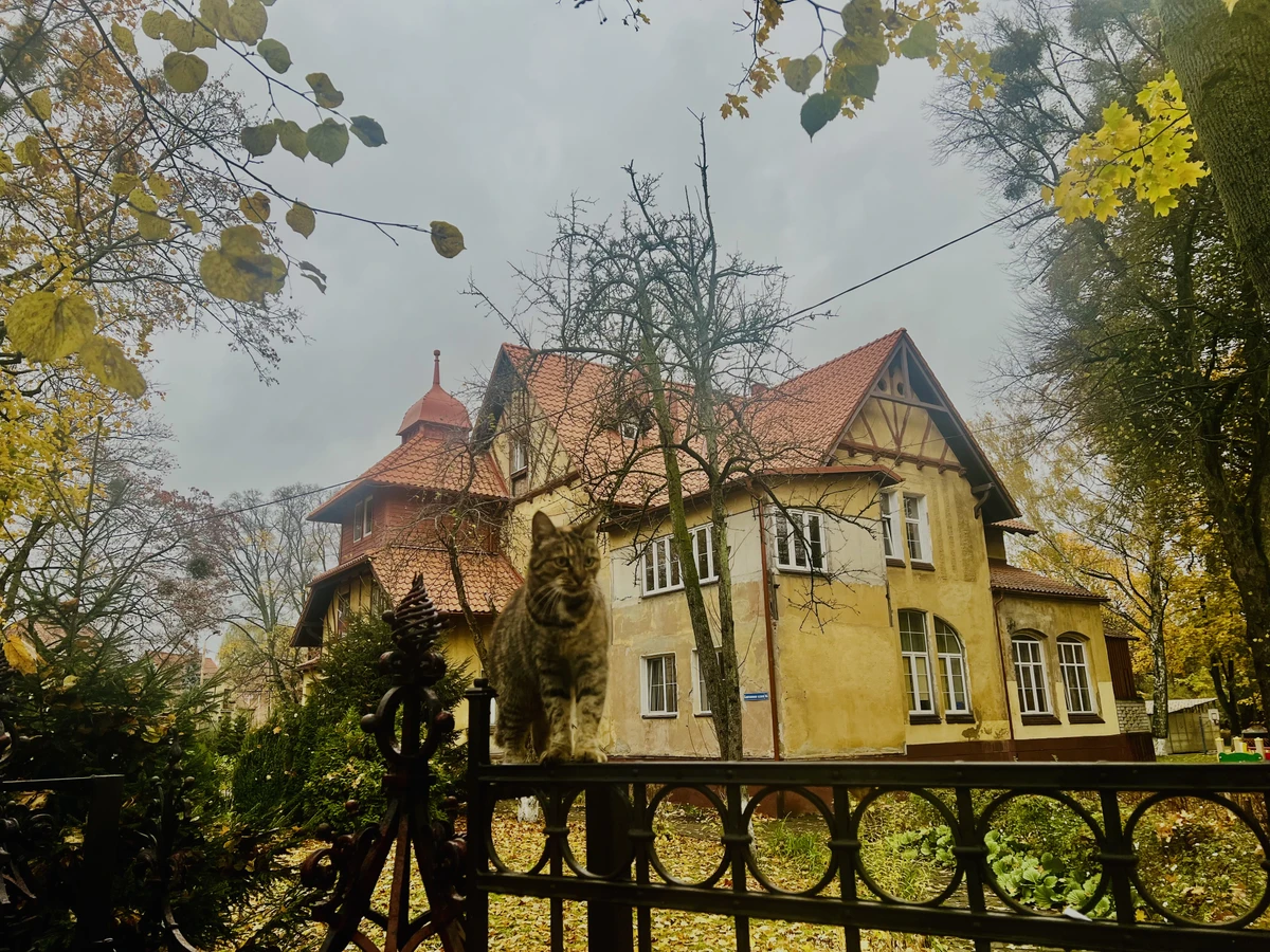 Загадки Амалиенау: экскурсия с элементами квеста — фото 9