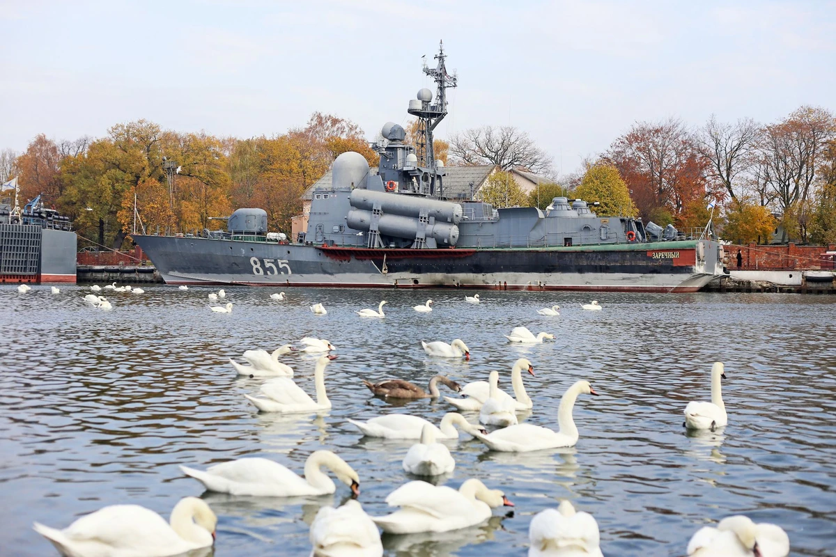 От Калининграда до Балтийска — на скоростном катере — фото 4