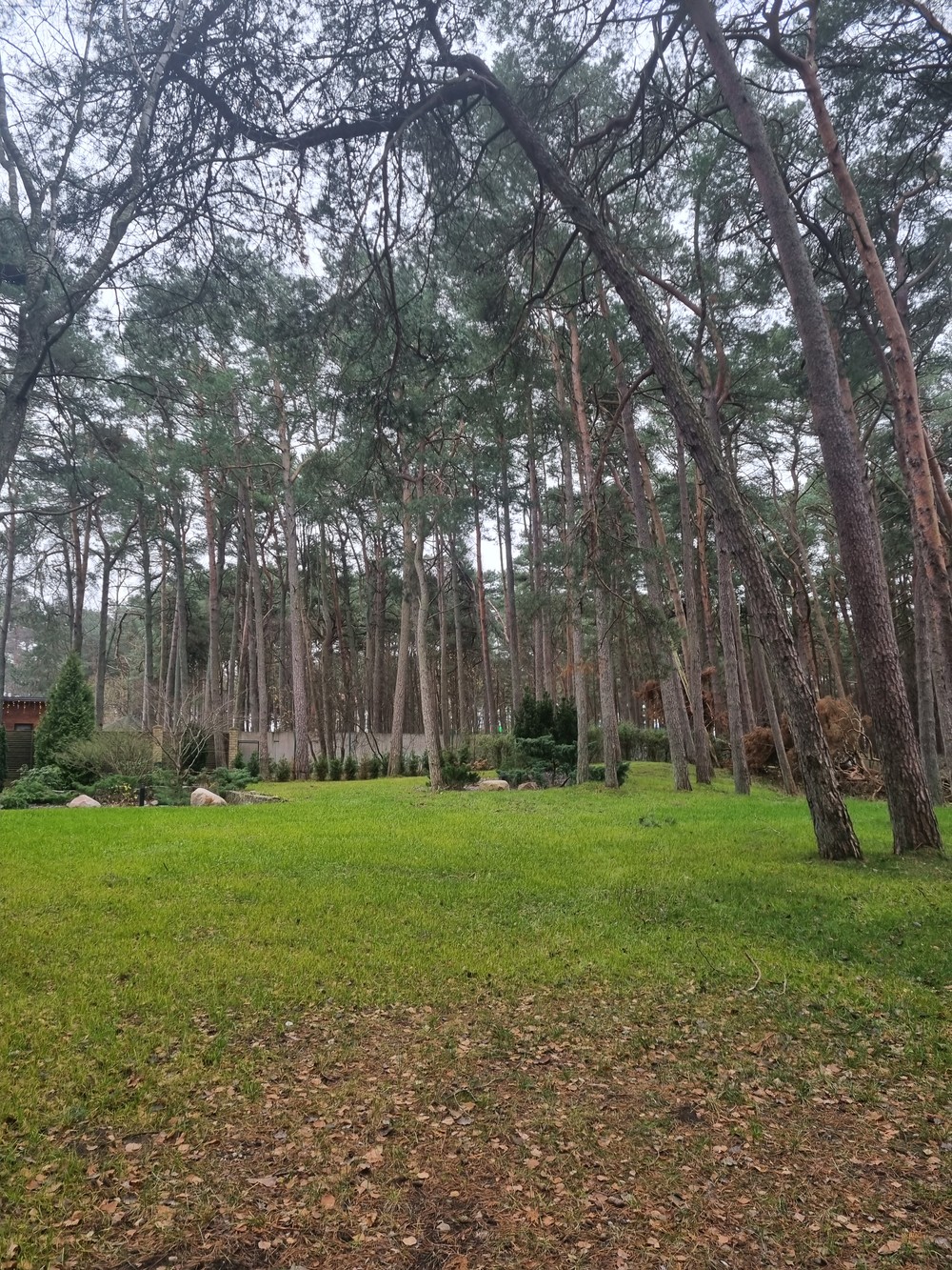 Три в одном: Куршская коса, Зеленоградск и замок Нессельбек — фото 9