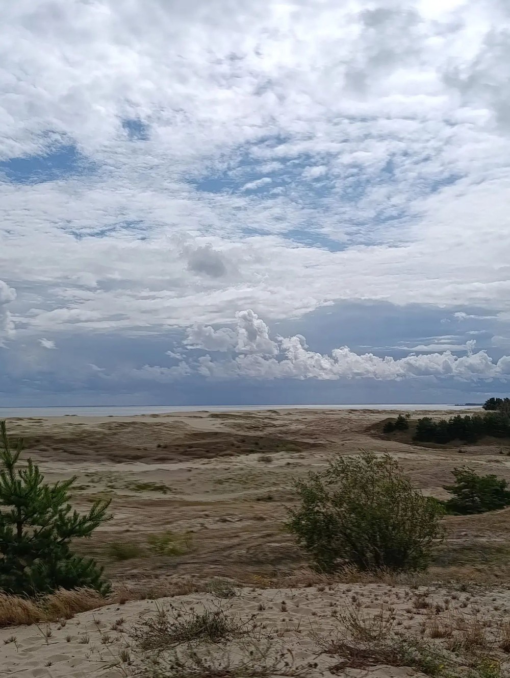 Куршская коса — природная сказка Балтики + курортный Зеленоградск — фото 3