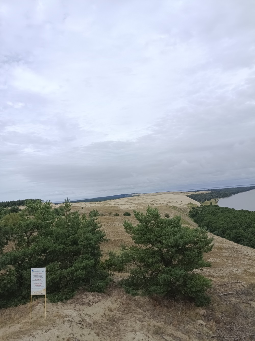 Между морем и заливом — Куршская коса — фото 10