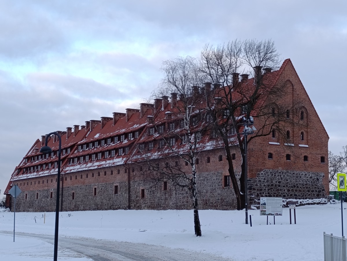 Прусские воительницы и великие полководцы 19 века — фото 6