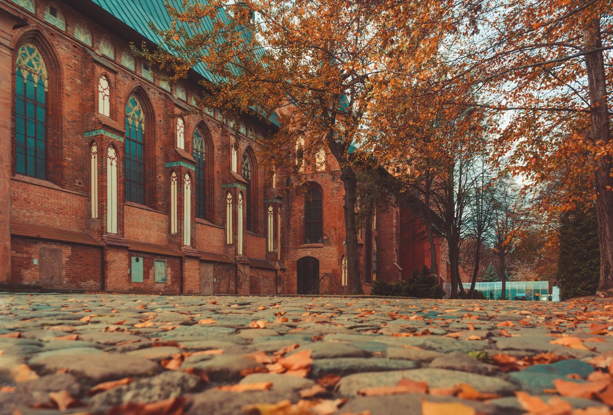 Калининград на одном дыхании — фото 2