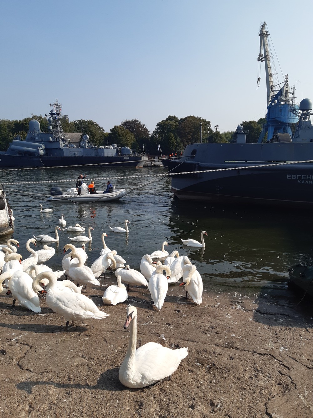 Балтийск, Янтарный, Светлогорск — три облика Балтики — фото 7