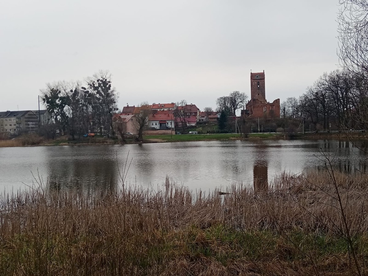 Групповая экскурсия в мир старинных городов и частных музеев — фото 10
