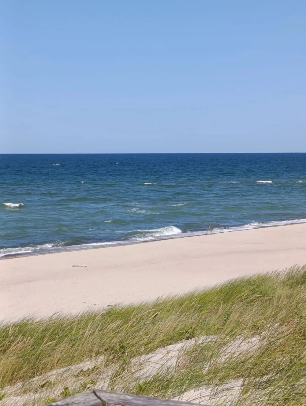 Куршская коса — природная сказка Балтики + курортный Зеленоградск — фото 2