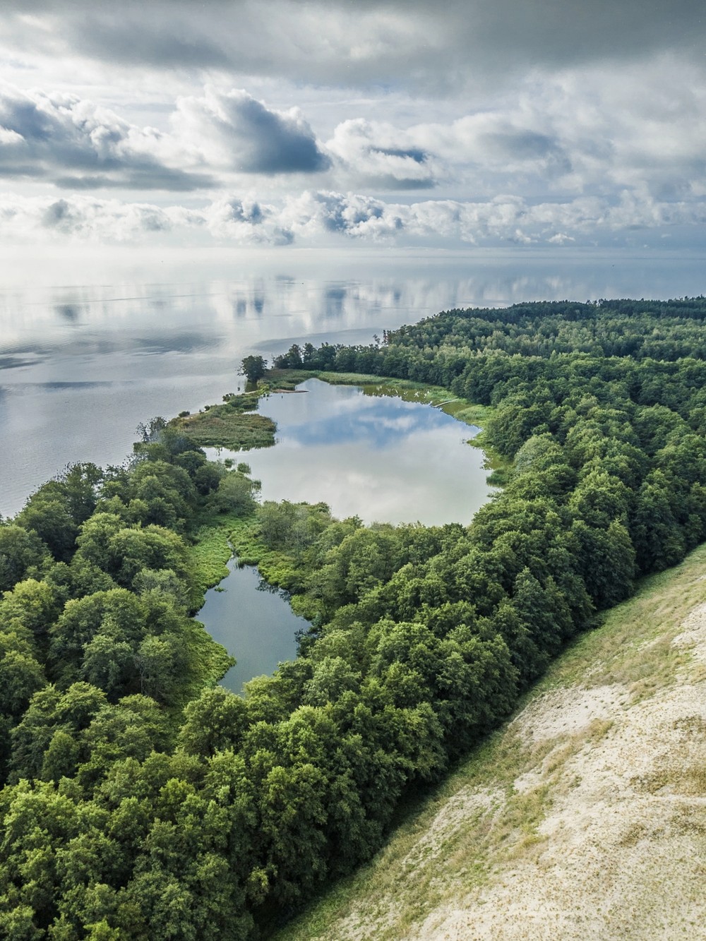 Куршская коса, Зеленоградск и Пионерский: нестандартная экскурсия — фото 11