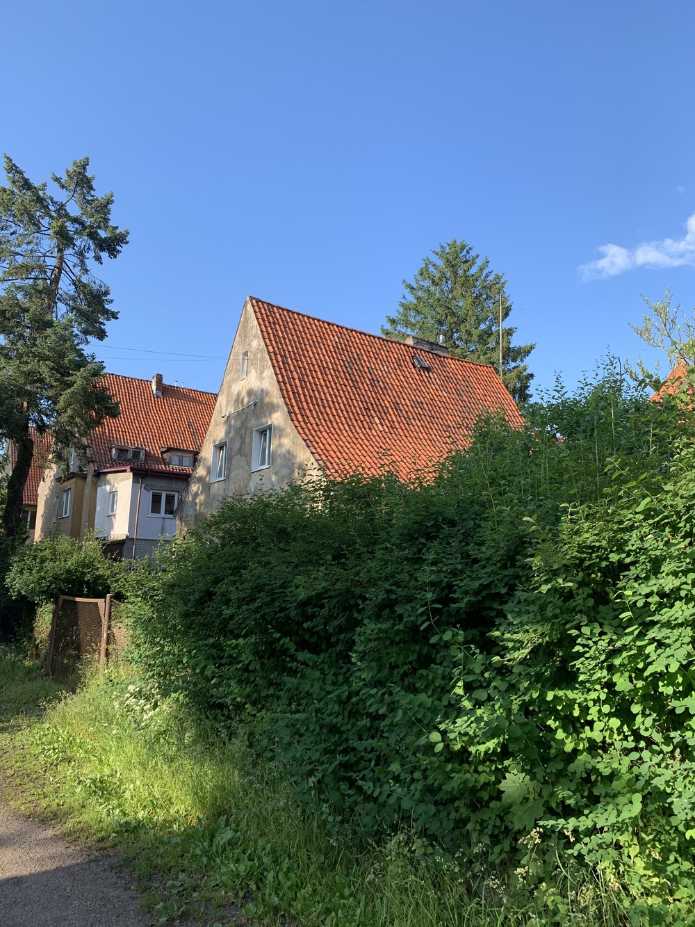 Старый Кёнигсберг и прусская кухня — фото 11