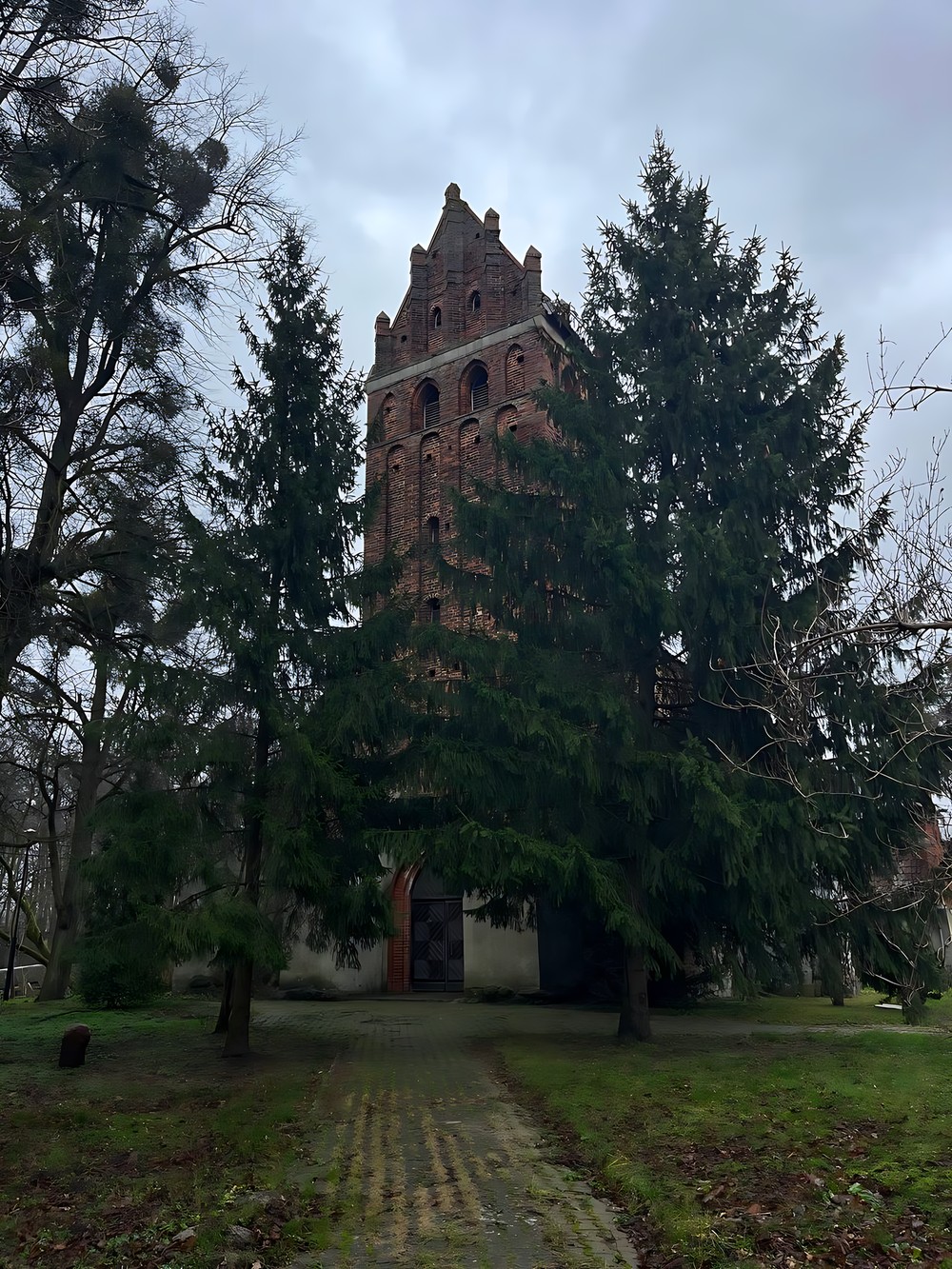 Тайны тевтонских замков и балтийских маяков (из Калининграда) — фото 4