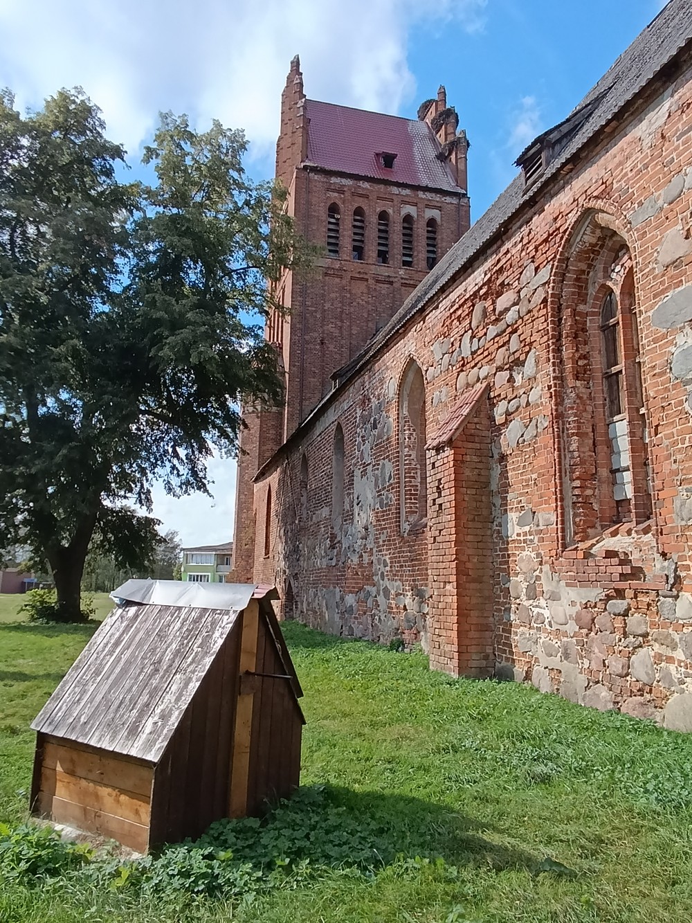 В поисках приключений: на медовых лугах Бартии — фото 11