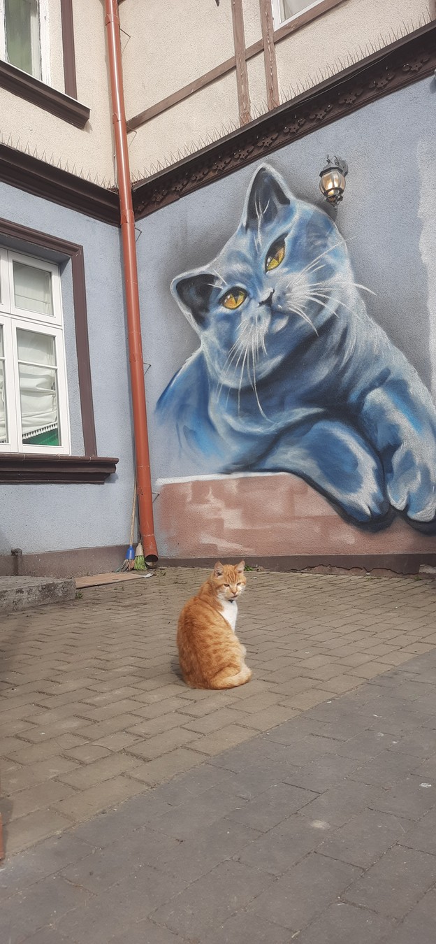 Из Калининграда — на Куршскую косу и в Зеленоградск — фото 7