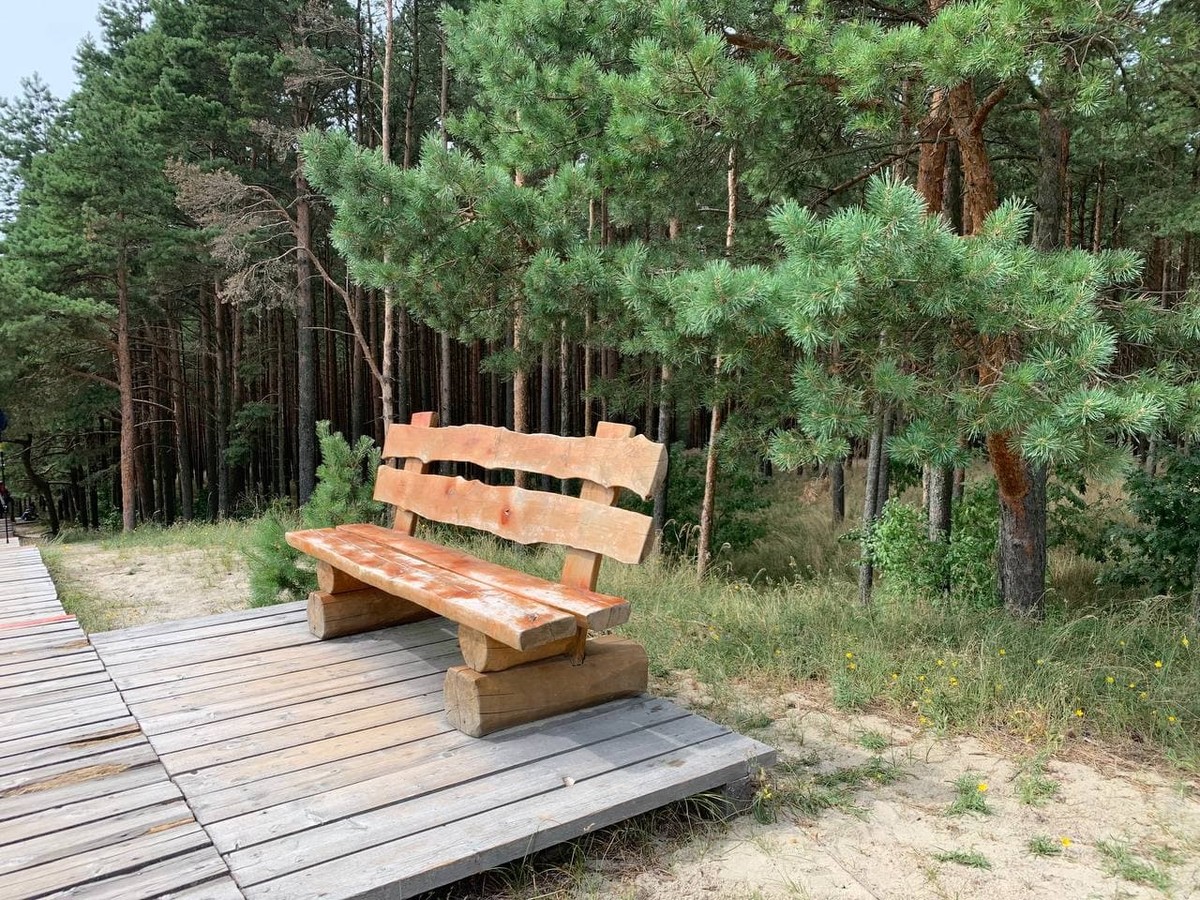 Загадочная Куршская коса с сертифицированным гидом — фото 6