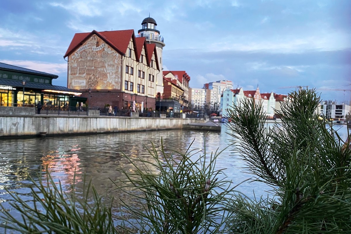 Новогодний калейдоскоп Балтийского побережья: музеи, города и сыроварня — фото 3
