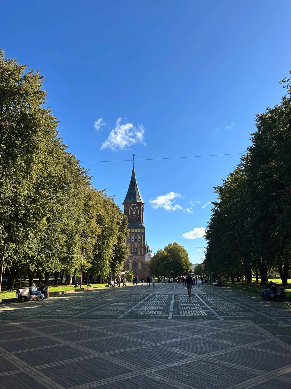 Лучший день в Калининграде: экскурсия по центру города, дегустация сыра и прогулка на кораблике — фото 8