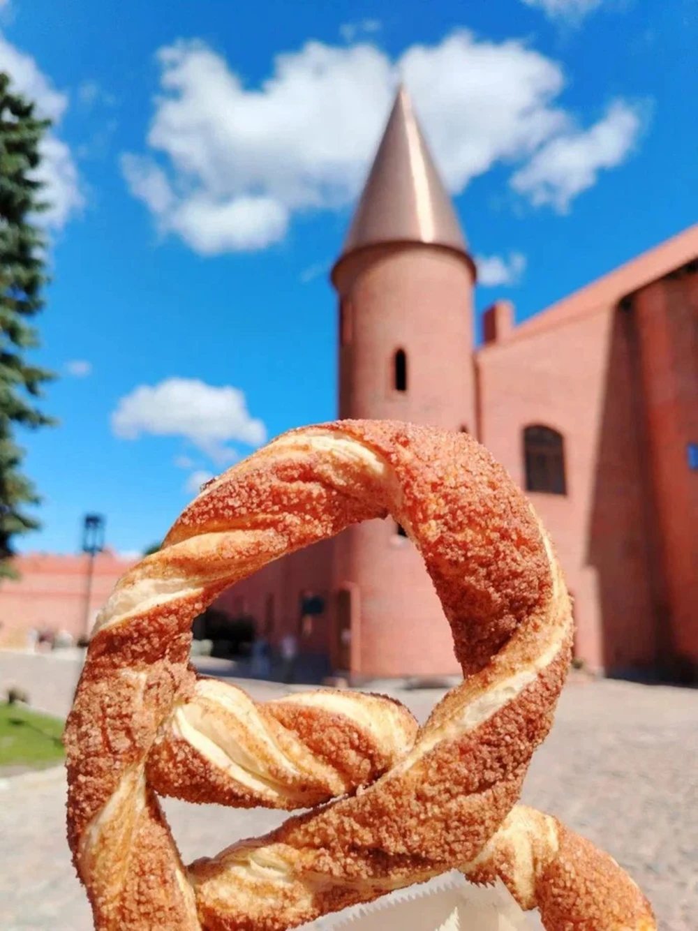 Замки Балтики — экскурсия из Калининграда (всё включено) — фото 3