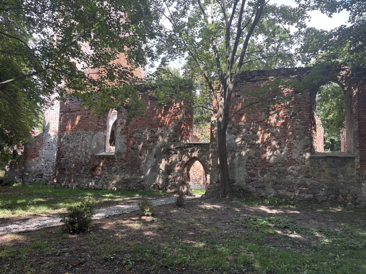 Из Калининграда — к замку Шаакен и прусскому штруделю — фото 12